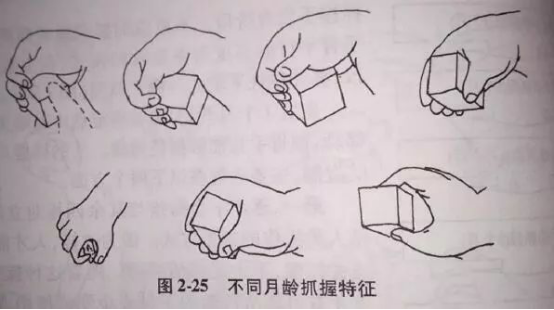 兒童發(fā)育遲緩康復(fù)訓(xùn)練——小兒腦癱的作業(yè)療法訓(xùn)練